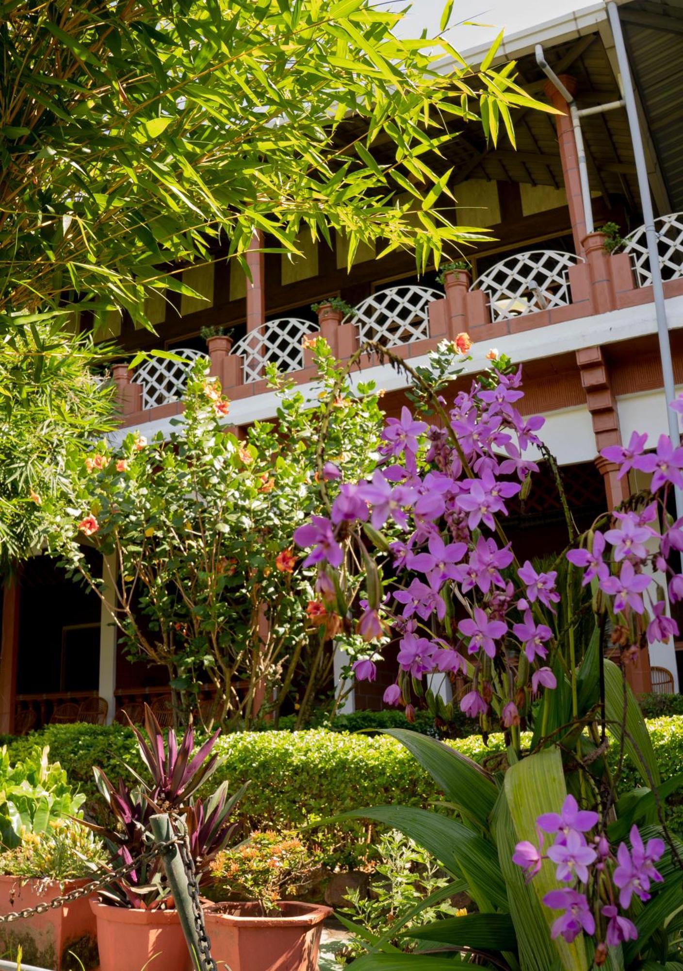 The Nest Inn Resort Masinagudi Exterior foto